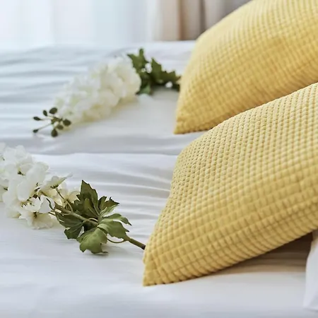 Krakowska 39 With Ac & Parking & Loggia By Renters فروتسواف